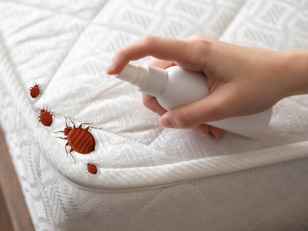 Mount Joy, PA Pest Control Company